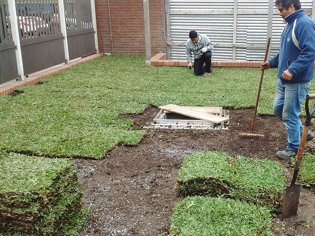 Techo verde en Sanatorio Juncal