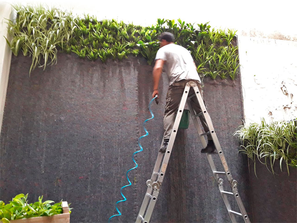 Jardín vertical en casa Arenales