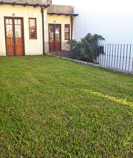 Terraza verde en casa Villa Crespo
