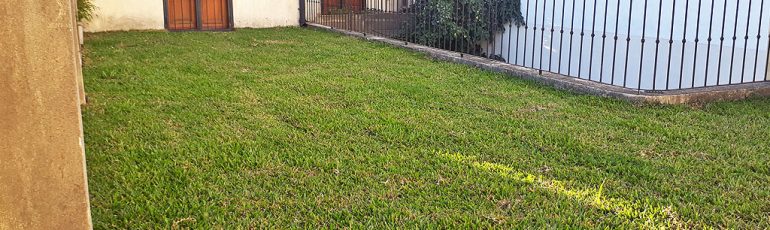 Terraza verde en casa Villa Crespo