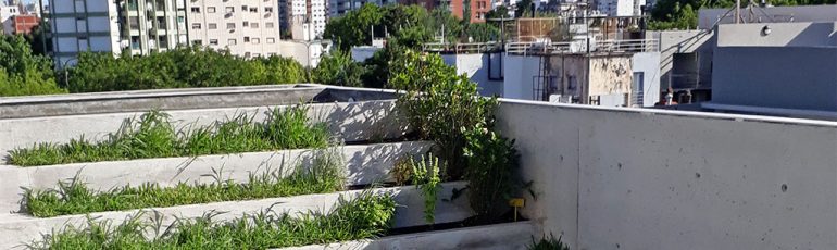 Besares terraza verde