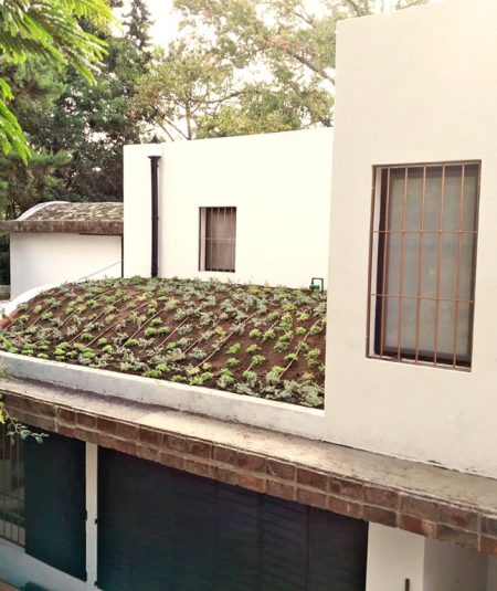 Lomas de San Isidro