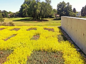 Casa Olivos Golf Club terraza verde